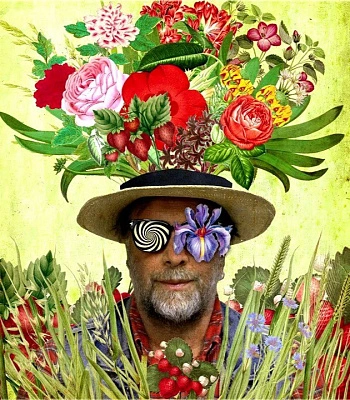 CD Аквариум "Двери Травы"