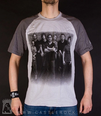 футболка ддт (группа ч/б, серая)