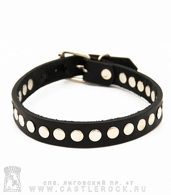ошейник кожаный 1 ряд клепки (на пряжке)