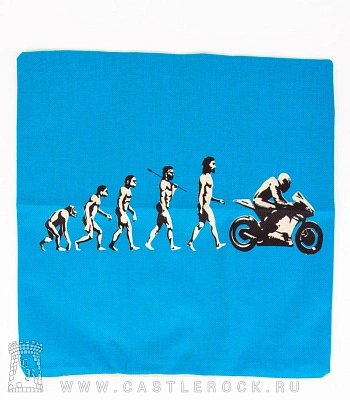 чехол на подушку эволюция человека 