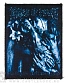 нашивка cradle of filth "the principle of evil made flesh"