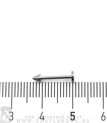Лабрет Сталь с Шипом 1 х 10 х 3