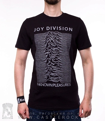 футболка joy division "unknown pleasures" (принт серебристый)
