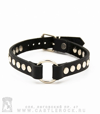 ошейник кожаный кольцо, клепки (на пряжке)