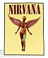 нашивка на спину nirvana "in utero"