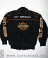 курточка детская harley-davidson "100th anniversary"