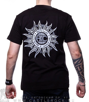 футболка alice in chains "dirt" (принт большой)