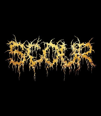 CD Scour "Gold"