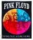 нашивка на спину pink floyd "wish you were here"