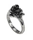 кольцо alchemy gothic (алхимия готик) r237 token of love
