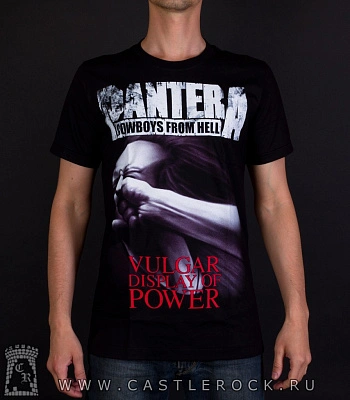футболка pantera "vulgar display of power" (принт большой)