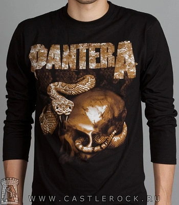 футболка pantera (череп со змеей) д/р