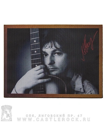 магнит прямоугольный 3d майк науменко (голограмма)