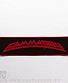 нашивка gamma ray (лого красное)
