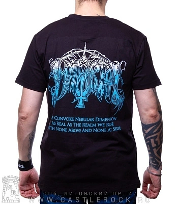 футболка immortal "blizzard beasts"