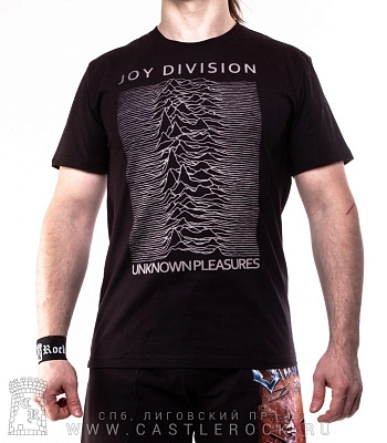 футболка joy division "unknown pleasures" (сепия)