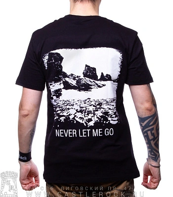 футболка placebo "never let me go"