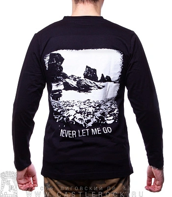 футболка placebo "never let me go" д/р