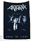 нашивка anthrax "among the living"