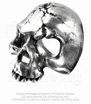 кольцо alchemy gothic (алхимия готик) r174 ruination skull