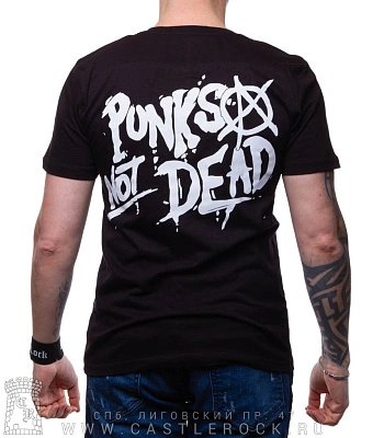 футболка anarchy анархия punks not dead (скелет панк)