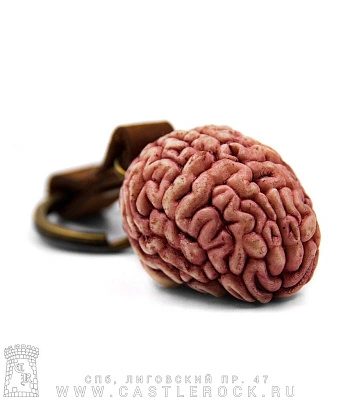 брелок мозг (детализированный)