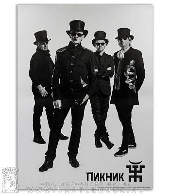плакат пикник (группа ч/б)