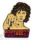 значок цанга doors jim morrison