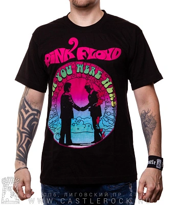 футболка pink floyd "wish you were here"