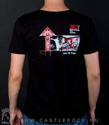 футболка 30 seconds to mars (феникс)