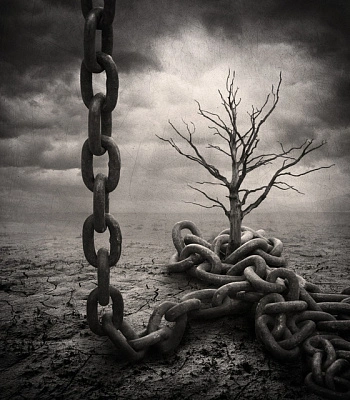 CD Аквариум "Песни Нелюбимых"