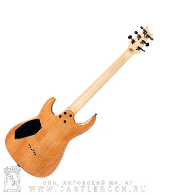 электрогитара clevan cs22-n