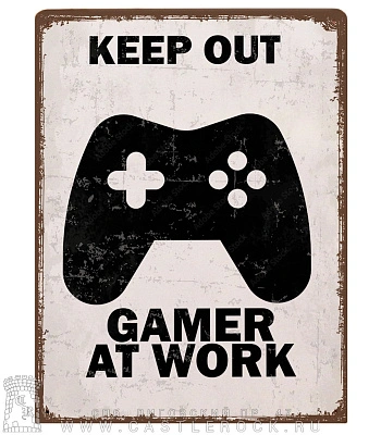 табличка keep out gamer at work