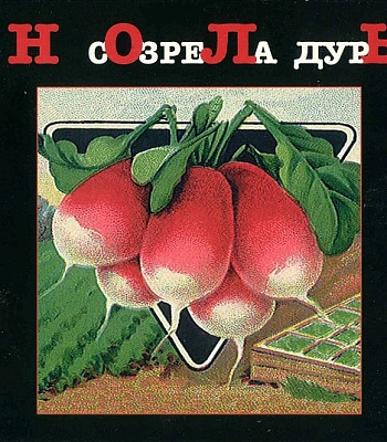 CD Ноль "Созрела Дурь"