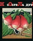 CD Ноль "Созрела Дурь"