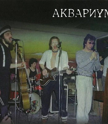 CD Аквариум "Сроки и Цены"