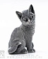 статуэтка кот (сидит, мраморная крошка)