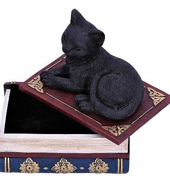 шкатулка кот на книгах