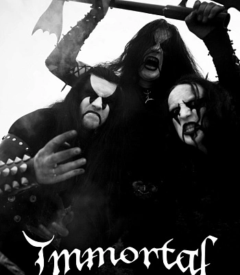постер тканевый immortal (вертикальный)
