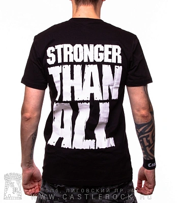 футболка pantera "vulgar display of power"