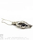 серьга alchemy gothic (алхимия готик) e261 cadavarus