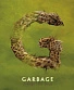 CD Garbage "Strange Little Birds"