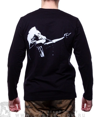 футболка exploited "punks not dead" д/р