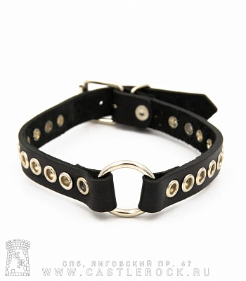 ошейник кожаный кольцо, блочки (на пряжке)