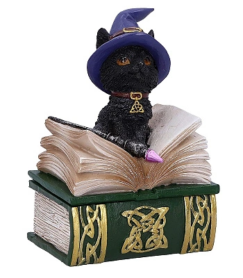 шкатулка котенок на книгах