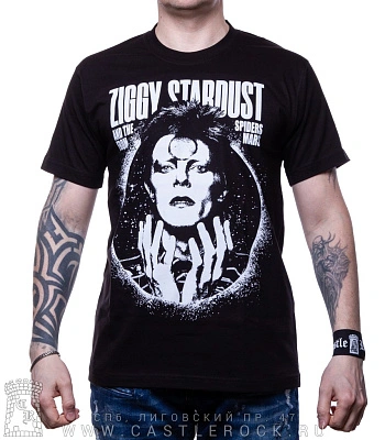 футболка david bowie "the rise and fall of ziggy stardust and the spiders from mars"