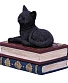 шкатулка кот на книгах
