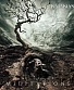 CD/DVD Kataklysm "Meditations"
