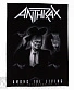 нашивка на спину anthrax "among the living"