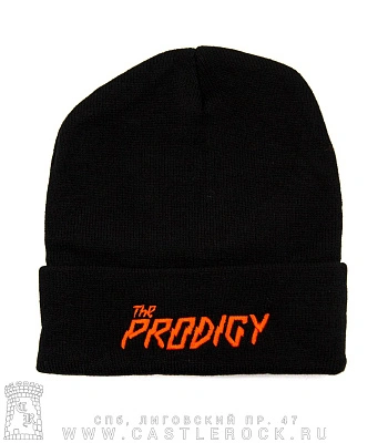 шапка с отворотом и вышивкой prodigy